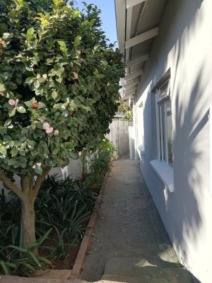 Willow Guest House بوكسبرغ المظهر الخارجي الصورة